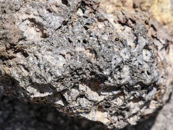 Stock image Close-up on a volcanic rock stone