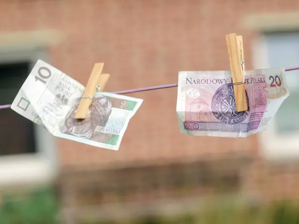 Zloty ポーランドの通貨 の紙幣は 衣服のラインから吊り下げられ 衣服のスパイスは ぼやけた背景にあります 汚染されたお金の概念やマネーロンダリングのため — ストック写真