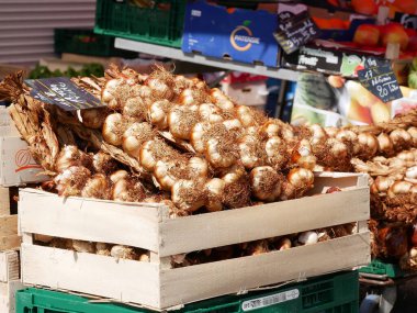 Arleux, Fransa - 09 02 02 2023: Foire l 'Ail Fum (Tütsülenmiş Sarımsak Fuarı), Arleux' da, çeşitli boyutlarda tütsülenmiş sarımsak örgüleri, sarımsak çorbası tatma...