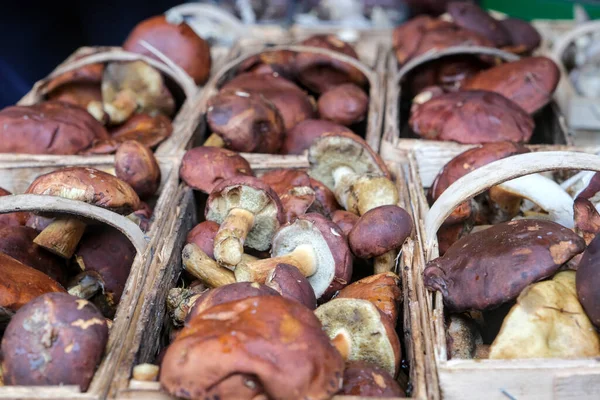 Satılık Boletus, bir pazarda.