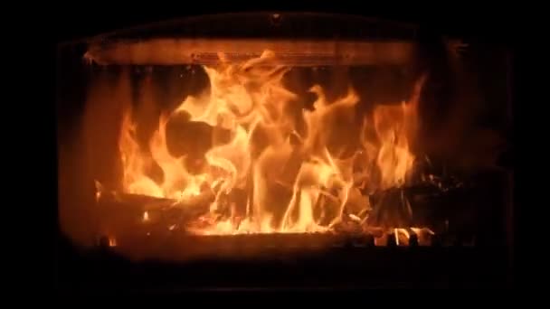 暖炉のインサートで火災 — ストック動画