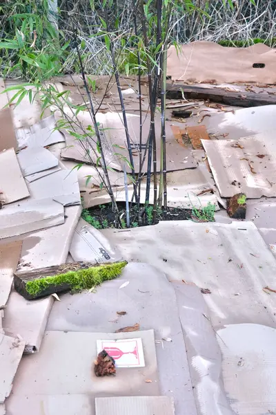 Lazanya metodu, bahçe yatağında toprak hazırlama sırasında..