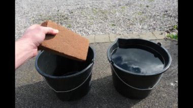 Plastik kovadaki bir hindistan cevizi turbası parçasının rehidrasyonunu gösteren görüntüler dizisi.