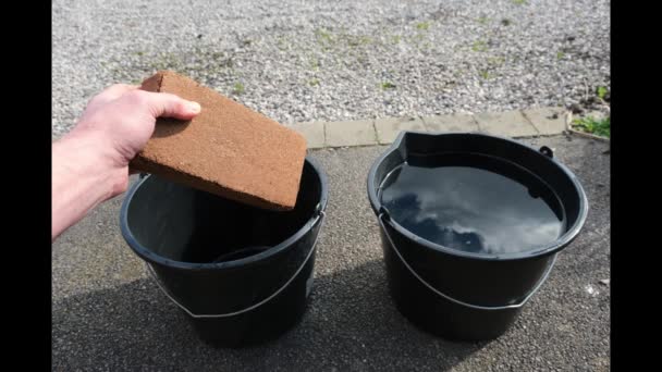 一系列图像 显示塑料桶中的椰子泥砖的再水化 — 图库视频影像