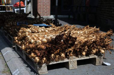 Braids of garlic heads, stacked on a pallet. A slate indicates twelve heads. clipart