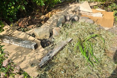 Yabani otların yayılmasını sınırlamak ve toprağı nemli tutmak için bir çiçek tarhına karton koymak. Lazanya metodu. Bölgenin bir kısmı samanla kaplı..