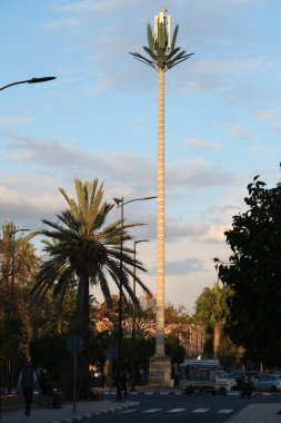 Marakeş, Fas - 12: 30 2024: Palmiye ağacı kılığına girmiş bir baz istasyonu gerçek palmiye ağaçları ve sokak lambaları arasında duruyor..