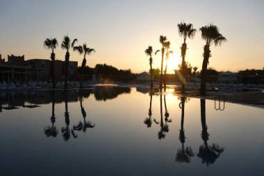 Gün batımında sakin bir tatil köyü sahnesi. Palmiye ağaçları ve onların yansımaları durgun bir havuzda, altın ışıkla yıkanmış, huzurlu ve rüya gibi bir atmosfer yaratıyor..