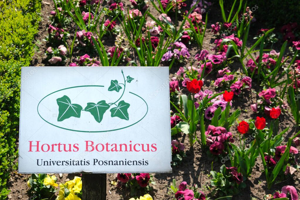 A botanical garden sign at the University of Pozna, surrounded by vibrant flowers and lush greenery, blending nature with academic heritage.