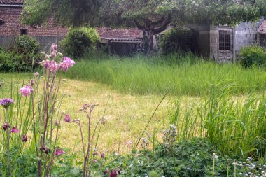 Farklı biçimi olan sürdürülebilir bahçe, çiçek açan kır çiçekleri, arka planda uzun çimen bölgeleri ve kırsal binalar.