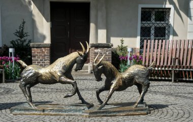 Poznan, Polonya - 04 / 22 / 2025: Sembolik Pozna Keçileri 'nin bronz heykelleri, büyüleyici bir kaldırım taşı meydanında gelenek ve efsaneyi sembolize ediyor.