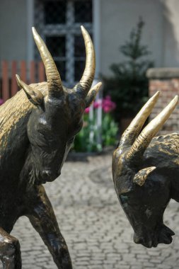 Poznan, Polonya - 04 / 22 / 2025: Sembolik Pozna Keçileri 'nin bronz heykelleri, büyüleyici bir kaldırım taşı meydanında gelenek ve efsaneyi sembolize ediyor.