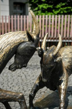 Poznan, Polonya - 04 / 22 / 2025: Sembolik Pozna Keçileri 'nin bronz heykelleri, büyüleyici bir kaldırım taşı meydanında gelenek ve efsaneyi sembolize ediyor.
