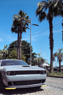Güneşli bir caddede park etmiş mavi gökyüzünün altında palmiye ağaçlarıyla kaplı kaslı bir arabanın ön görüntüsü..