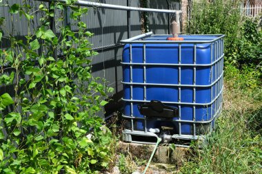 Bereketli bir bahçede mavi bir su tankı, bitkilerle çevrili, sarmaşık sarmaşıkları, ve renkli işaretler, parlak yaz güneşi altında.