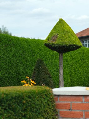 Bir insan açık havada sarı siyah bir hedef tahtasına kırmızı bir dart okuyla nişan alır. Rastgele bir oyun ayarında hassasiyet ve doğruluk üzerine odaklanır..