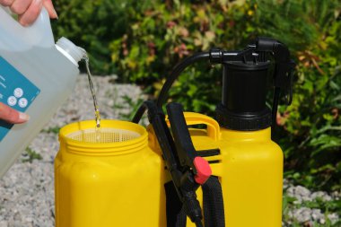 Sarı bahçe spreyine beyaz sirke döken bir insan, açık havada güneşli bir yolda doğal ot kontrolü için..