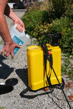 Sarı bahçe spreyine beyaz sirke döken bir insan, açık havada güneşli bir yolda doğal ot kontrolü için..