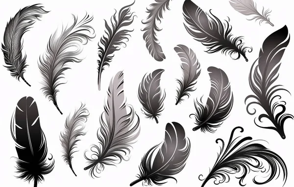 White Background Feathers Animals Swallow Horse Hawk Plants Bamboo Leaves — Stock Photo, Image