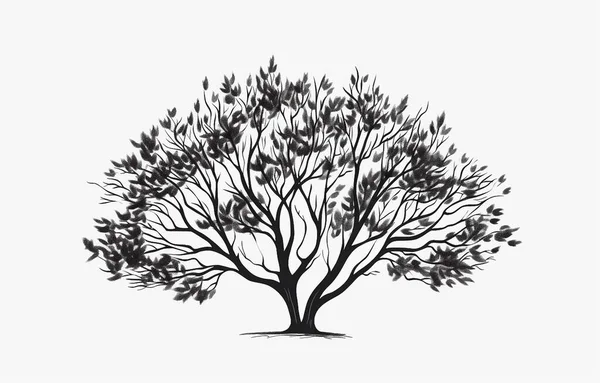 Białe Tło Czarny Element Rośliny Kwiaty Drzewa Liście Svg — Zdjęcie stockowe