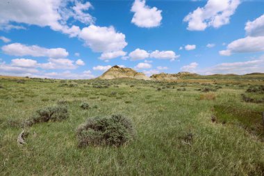 Missouri Nehri yakınlarındaki Montana çorak toprakları.