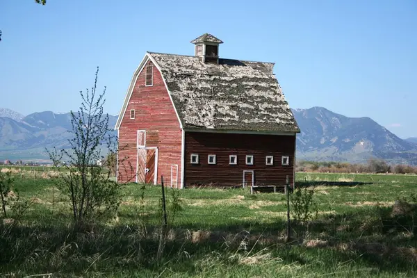 Gallatin County Montana 'daki Bridger Dağları' ndaki yıpranmış kırmızı ahır.