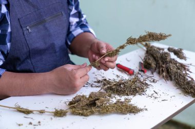 Esrarın ayrıntılı olarak budalanması. Islak ve Kuru Kesme Tekniği