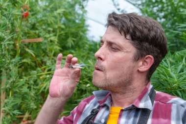 Esrar içen gençler - esrar, esrarkeş ve ot konsepti - yüzlere odaklanırlar