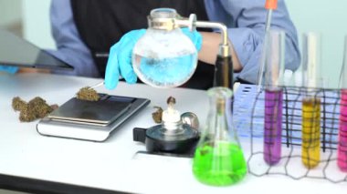 Sativa Kenevir tarım çiftliğinde çalışan bitki bilimci hastane uykusu ve kanser ilaçları tedavisinde kullanılacak kenevir araştırmaları için çalışıyor.
