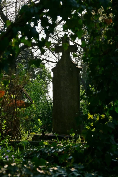 Starý Kříž Opuštěném Hřbitově Mystický Pohled — Stock fotografie