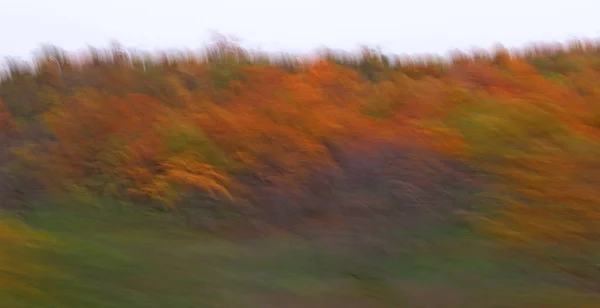 Sonbahar, kayıyor. Yoldaki fotoğraflar, hareket halindeki bir araçtan. Soyut. İzlenim.