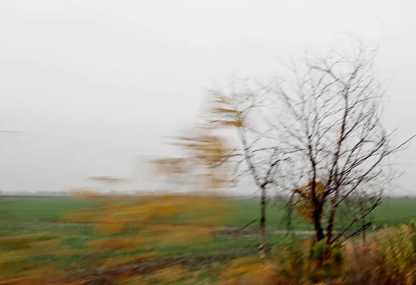秋には スライド 道路上の写真は 移動中の車から 抽象的 — ストック写真