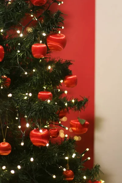 크리스마스 분위기 장식용 소나무 소나무 — 스톡 사진