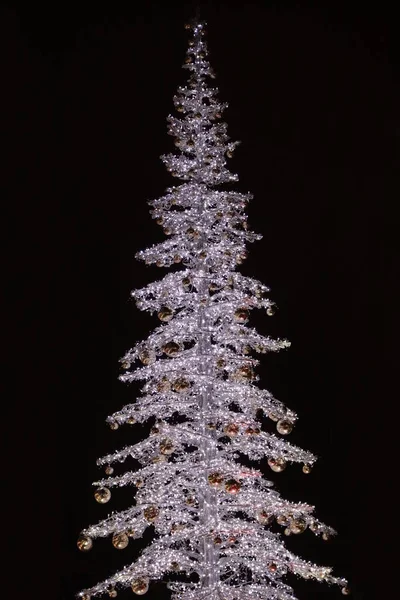 크리스마스 소나무 — 스톡 사진