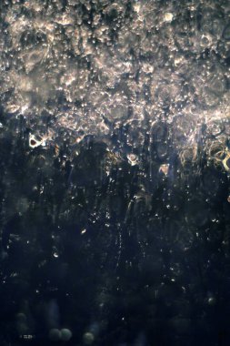 Çam dalında donmuş su damlaları.