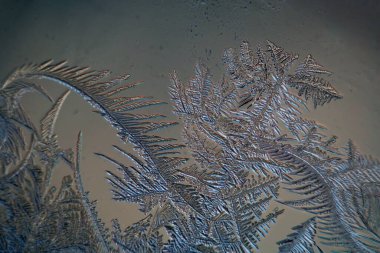 Kış, pencerede buz çiçeği