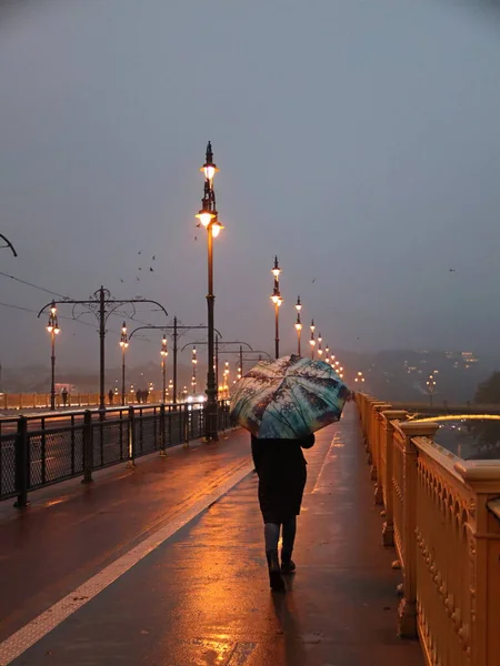 Yağmurda yürüyorum. Budapeşte. Margit köprüsü.