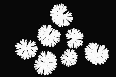 Vektör İllüstrasyonu, doğal yapraklar. Soyut.