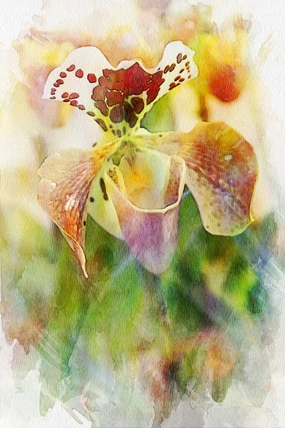 Suluboya, renkli çiçekler. Sanatsal tasarım.