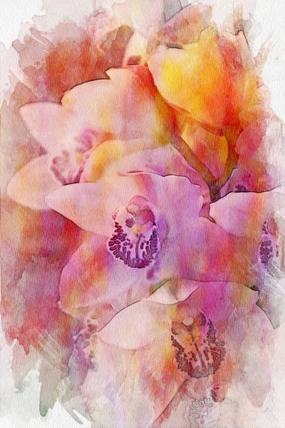 Aquarela Flores Coloridas Desenho Artístico — Fotografia de Stock