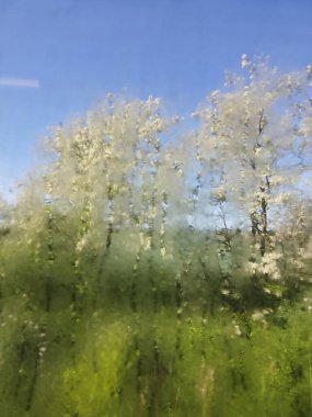 Resimli, soyut. Islak, nemli pencere camlarından atmosfer geçiyor..