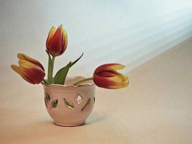 Porselen bir tencerede laleler.