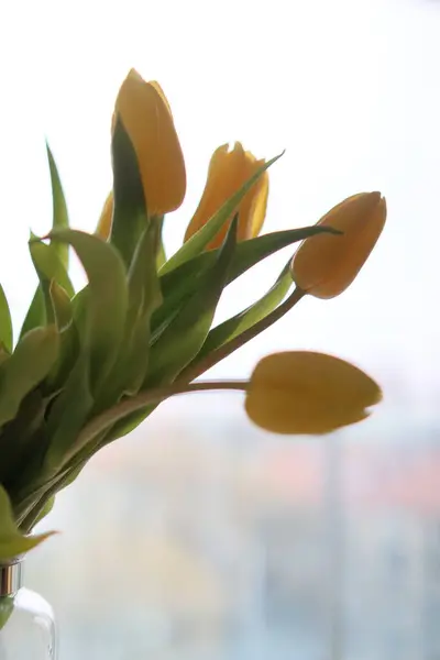 Bir buket sarı lale..