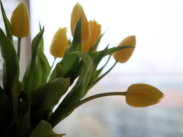 Bir buket sarı lale..