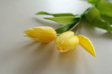 Beyaz bir masada sarı laleler.