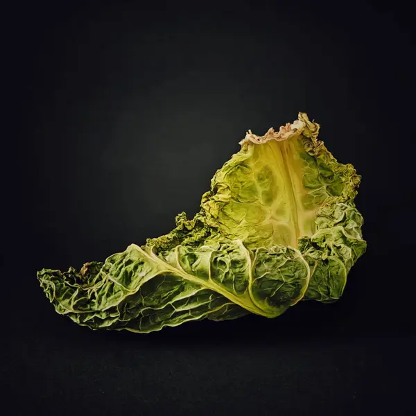 Kuru, solmuş lahana yaprağı..