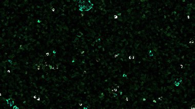 dark black and multi coloured pattern with abstract forms. simple, natural geometrical shapes in modern style template