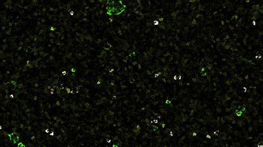 dark black and multi coloured pattern with abstract forms. simple, natural geometrical shapes in modern style template