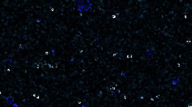 dark black and multi coloured pattern with abstract forms. simple, natural geometrical shapes in modern style template