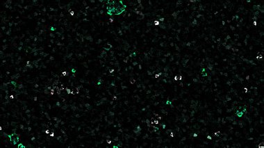 abstract background of green and black dots